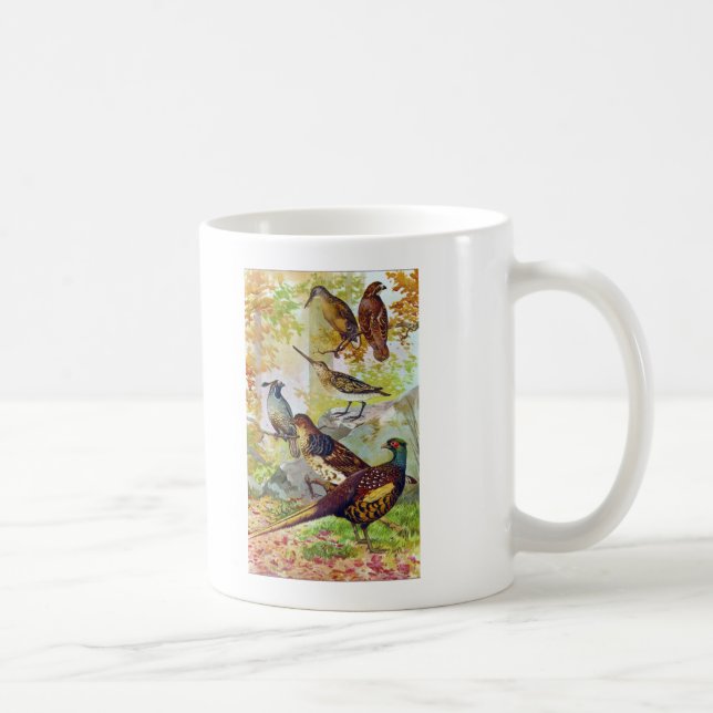 Mug Oiseaux de jeu 1902 Véritable Chromolithographe en (Droite)