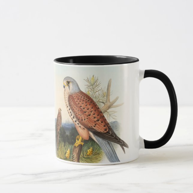 Mug Oiseaux de John Gould de faucon de crécerelle de (Droite)