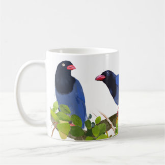 Mug Oiseaux --Pie bleue de Taïwan