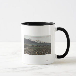 Mug Orangeraies avec vieux Baldy Mt dans la distance