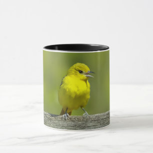 Mug Orchard Oriole - Photo originale