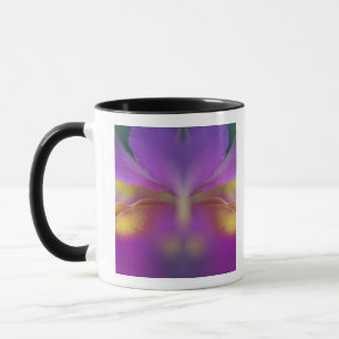 Mug Orchidée hybride, Floride 2