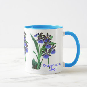 Mug Orchidée Zygopetalum Clayll