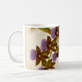 Mug Orchidées vintages Lindenia Zygopetalum Gautieri