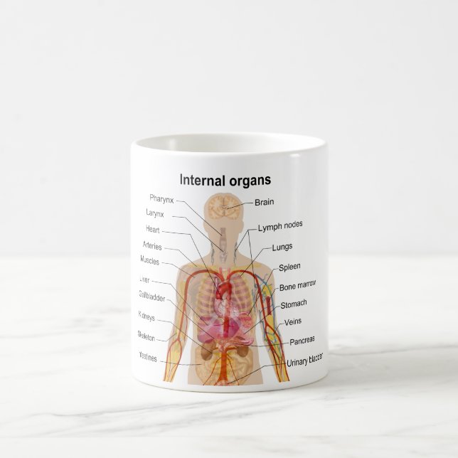 Mug Organes internes importants dans le diagramme de (Centre)
