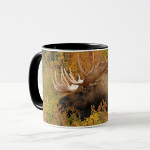 Mug Orignal Parc national de Denali, Alaska