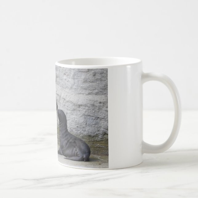 Mug Otaria flavescens (Droite)