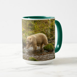 Mug Ours blanc cherche des poissons dans le ruisseau R