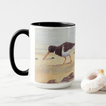 Oystercatcher Oiseaux de mer Faune Anniversaire Co