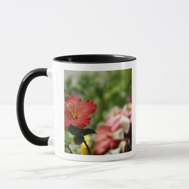Mug Pacifique Sud, Polynésie française, Société 2 (Gauche)