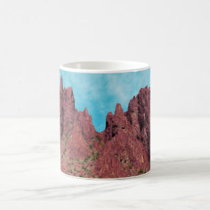 Mug Palm Canyon Arizona