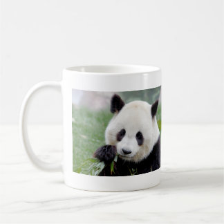 Mug Panda géant de la photo de grenouilles. Panda.