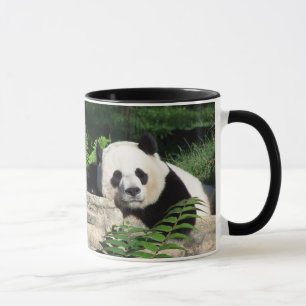 Mug Panda géant faisant une sieste