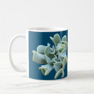 Mug Papeterie succulente