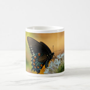 Mug Papillon à queue épaisse de Pipevine