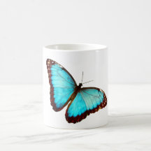 Papillon de la forêt tropicale du Morpho bleu