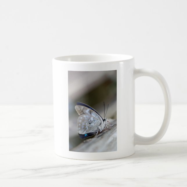 Mug Papillon Gris Bleu (Droite)
