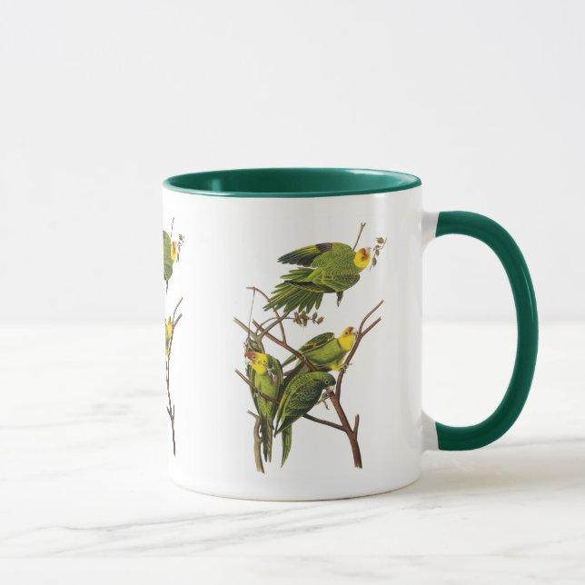 Mug : Parakeet - par John Audubon (Droite)