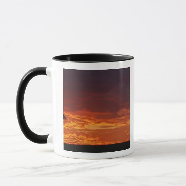Mug Parapluie Thorn Acacia, Acacia tortilis, 2 (Gauche)