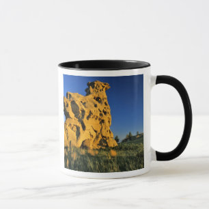 Mug Parc d'État de Medicine Rocks près d'Ekalaka Monta