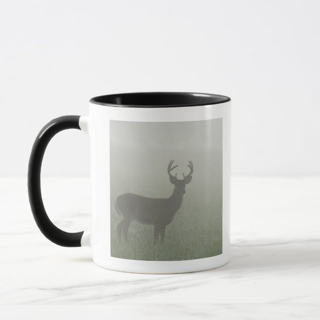 Mug Parc national de Great Smoky Mountains, Tennesse, (Gauche)