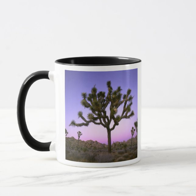 Mug PARC NATIONAL DE JOSHUA TREE, CALIFORNIE.États-Uni (Gauche)