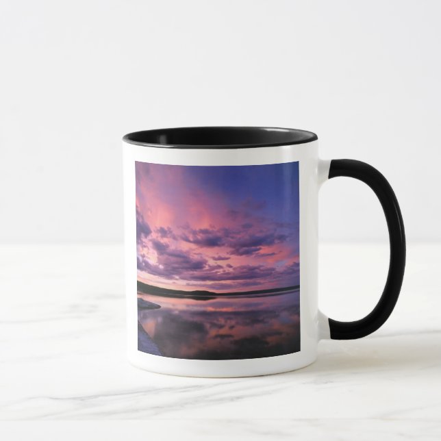 Mug Parc national de Yellowstone, Wyoming.États-Unis (Droite)