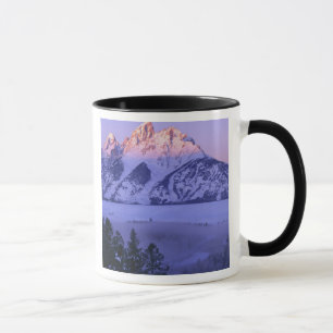 Mug PARC NATIONAL GRAND TETON, WYOMING. ÉTATS-UNIS. Br