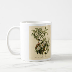 Mug Paruline de Bachman, d'Audubon's Birds of America