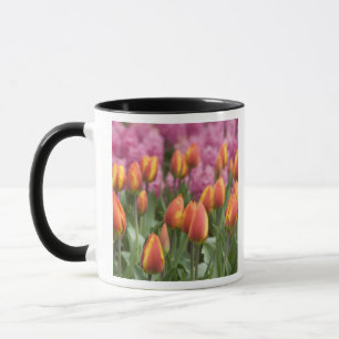 Mug Pays-Bas (aussi appelé Hollande), Lisse. Keukenhof