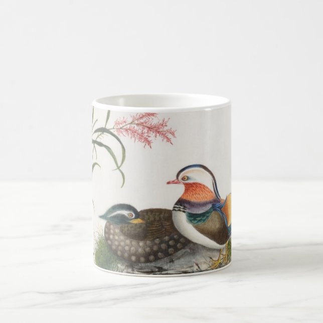Mug Peinture chinoise de canard de mandarine (Centre)