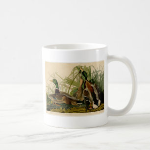 Mug Peinture d'oiseaux de Mallard Duck Audubon