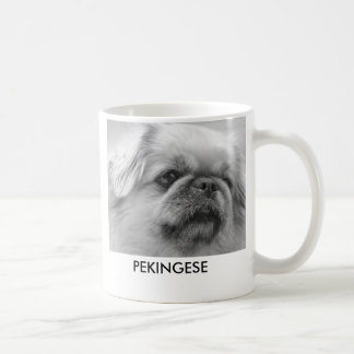 Mug Pekingese, adorable têtu et avec b majestueux…