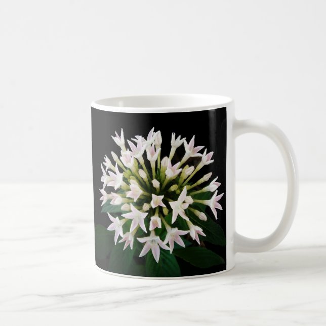 Mug Pentas blancs (Droite)