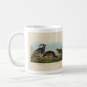 Mug Perdrix en peluche et à pattes épaisses - Audubon'