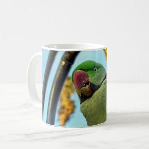 Mug Perroquet