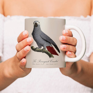 Mug Perroquet gris, Psittacus erithacus, vintage