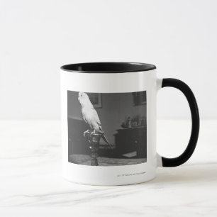 Mug Perroquet se reposant sur le chandelier B&W