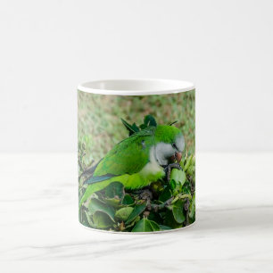 Mug Perroquet vert