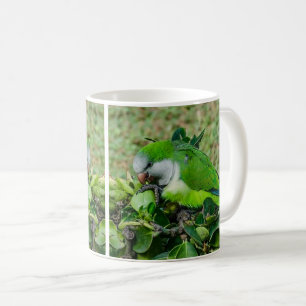 Mug Perroquet vert