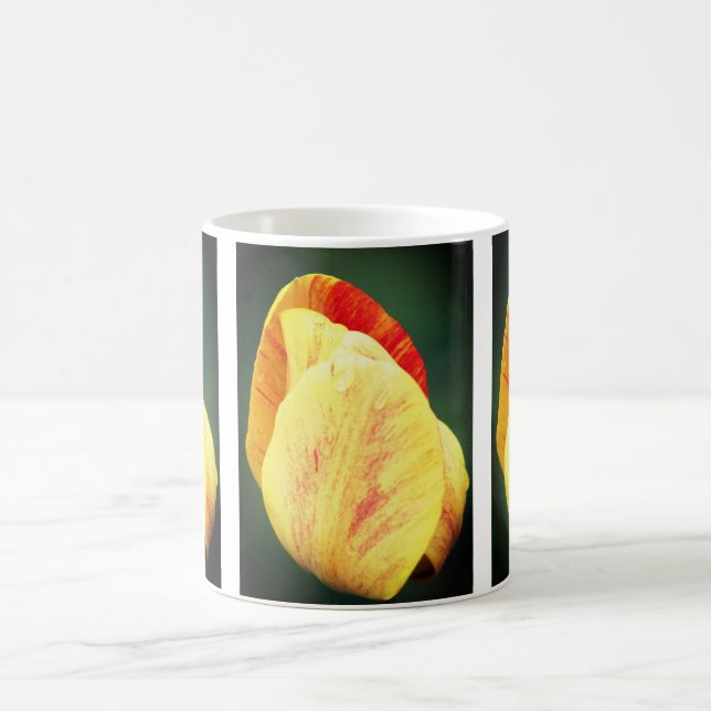 Mug Pétales de fleurs de tulipes (Centre)