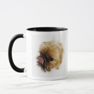 Mug Petit chien sur l'arrière - plan blanc, vue courb