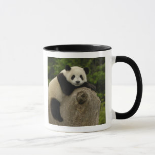 Mug Petit panda géant
