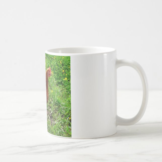 Mug Petit poulet rouge - couche libre d'oeufs de gamme (Droite)