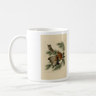 Mug Petite chouette à cris des oiseaux d'Amérique d'Au
