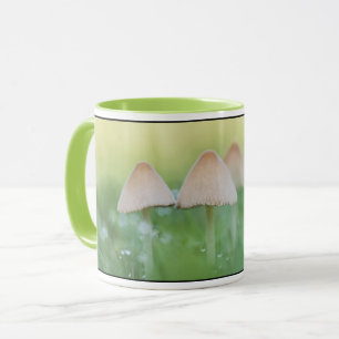 Mug Petits champignons Photo nature