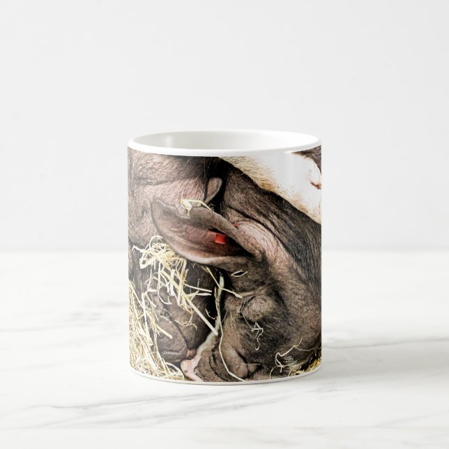 MUG PETITS PIÈCES FRAÎCHES (Centre)