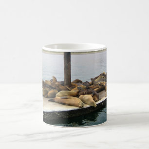 Mug Phoques du port, Morro Bay, Californie