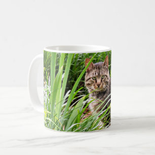 Mug Photo de chat tigré assis dans l'herbe