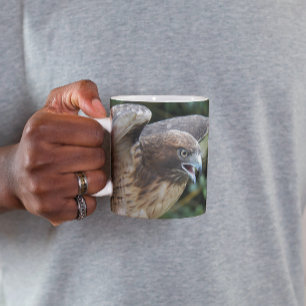 Mug Photo de rapace Buse à queue rousse